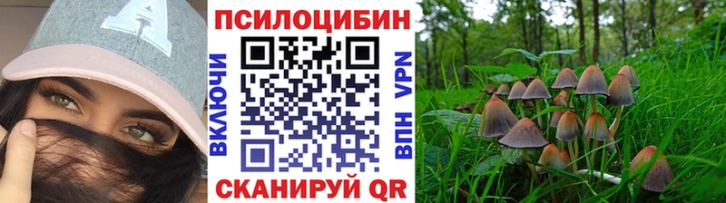 Псилоцибиновые грибы Magic Shrooms  что такое наркотик  Томилино 